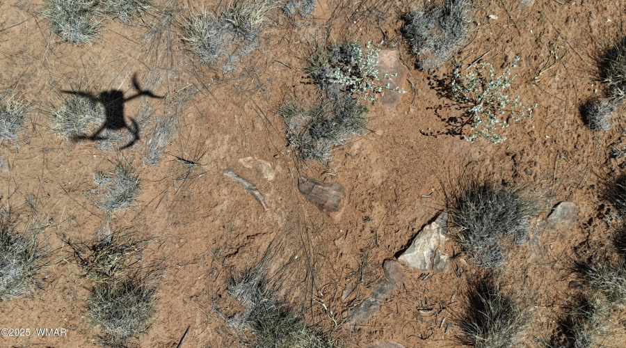 DJI_20250717105448_0010_D