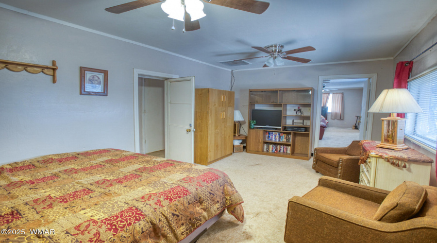 paxmanphoto_PAX_9465