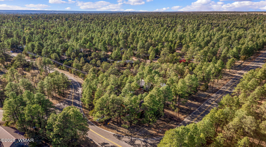 2190OvalDr-Heber-AZ-22