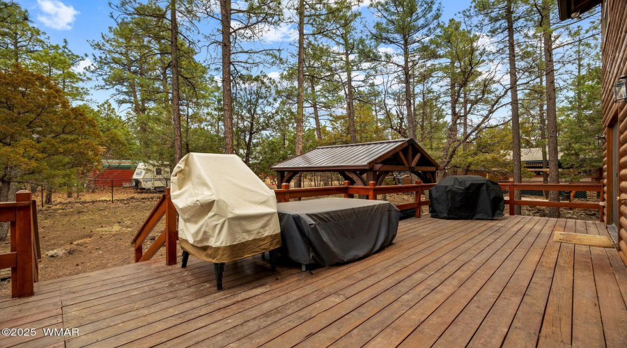 1541NBlueGrassRanchDr-Pinetop-AZ-27