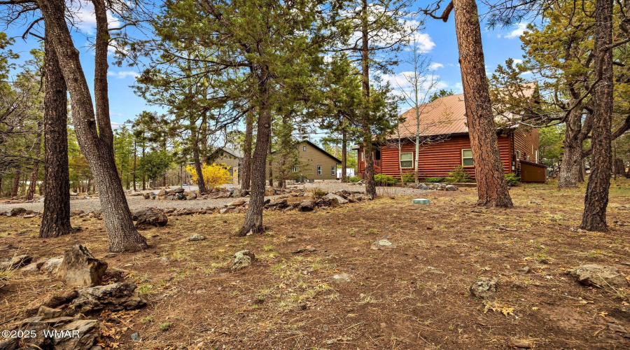 1541NBlueGrassRanchDr-Pinetop-AZ-2
