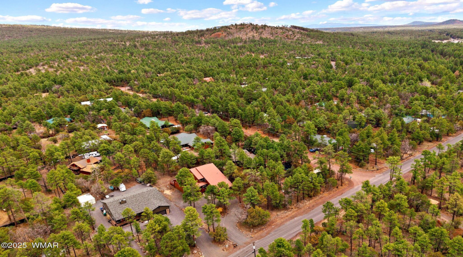 1541NBlueGrassRanchDr-Pinetop-AZ-32