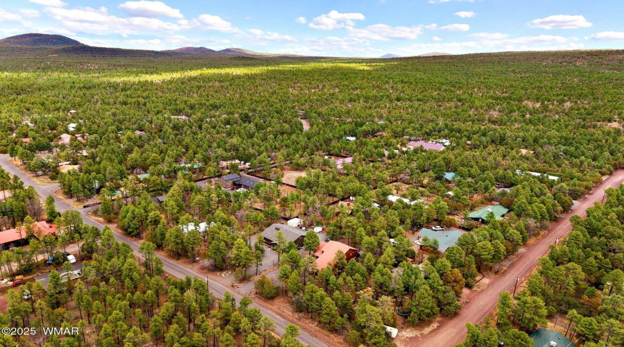 1541NBlueGrassRanchDr-Pinetop-AZ-33