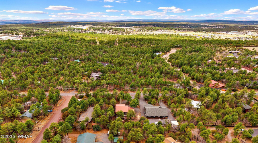 1541NBlueGrassRanchDr-Pinetop-AZ-35