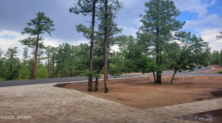 Front Yard