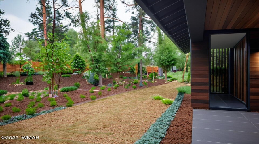 Conceptual Back Yard LandscapingVP
