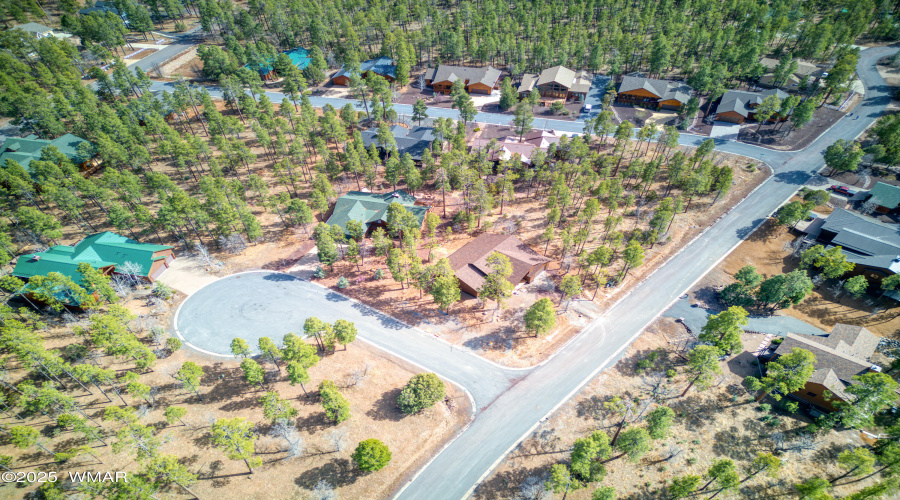 Paxmanphoto_DJI_20250408145819_0221_D