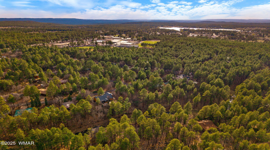 571WPineShadowDr-Pinetop-AZ-45