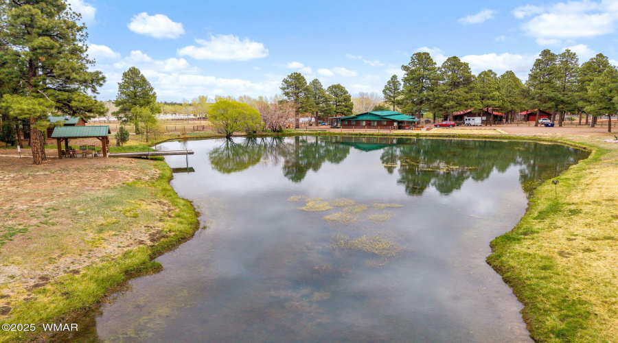 COMMUNITY POND