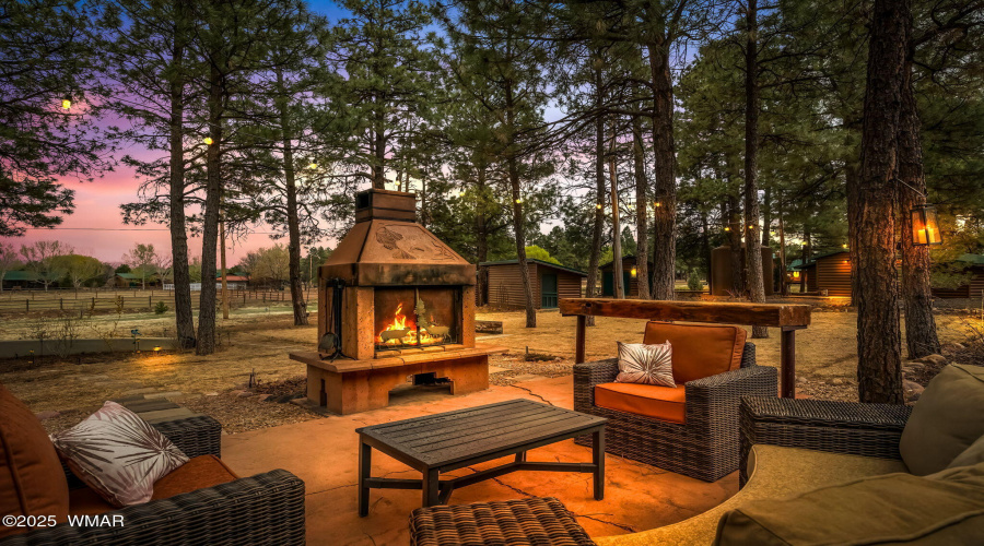 back yard papadise
