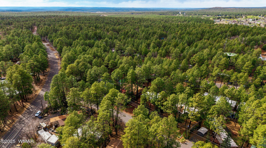 1884SierraPineLoop-Pinetop-AZ-26