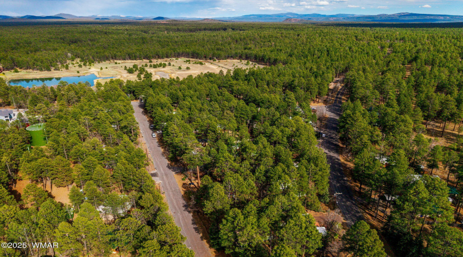 1884SierraPineLoop-Pinetop-AZ-28