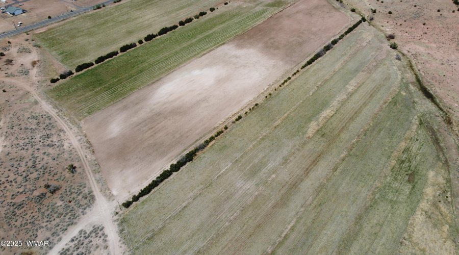 DJI_0281