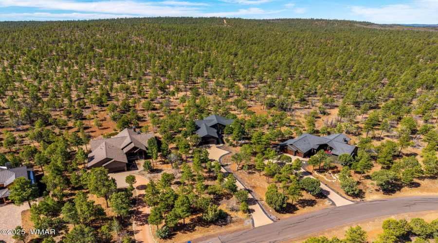 2140SMonkshoodRd-ShowLow-AZ-3 (2)