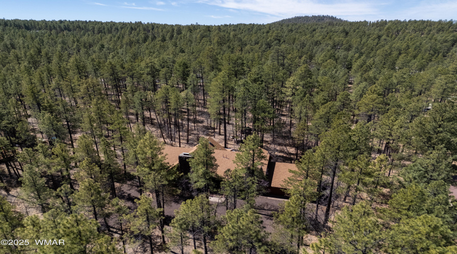 DJI_20250417104355_0176_D-HDR