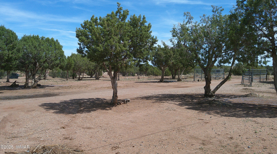 DSCF0027
