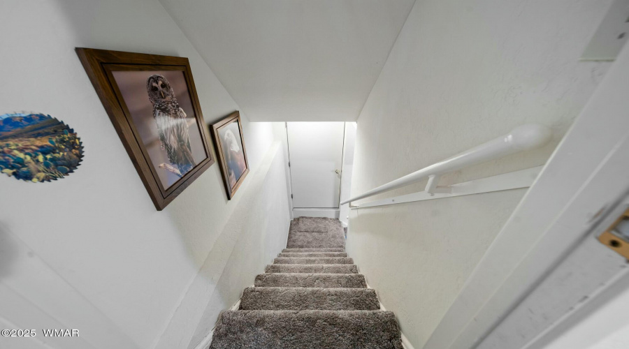 Basement Stairs