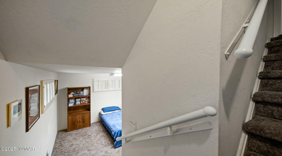 Basement Stairs