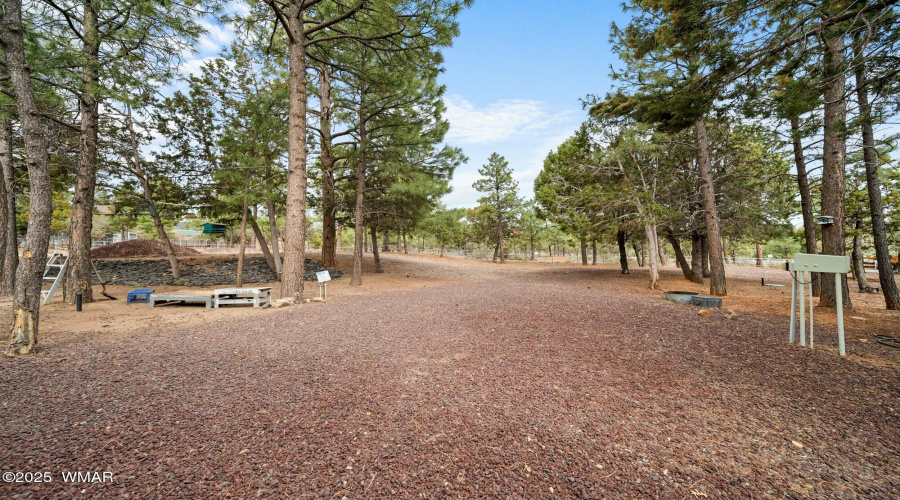 Yard View