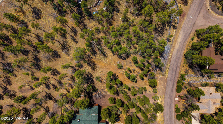 2501PineWoodLn-Pinetop-AZ-1