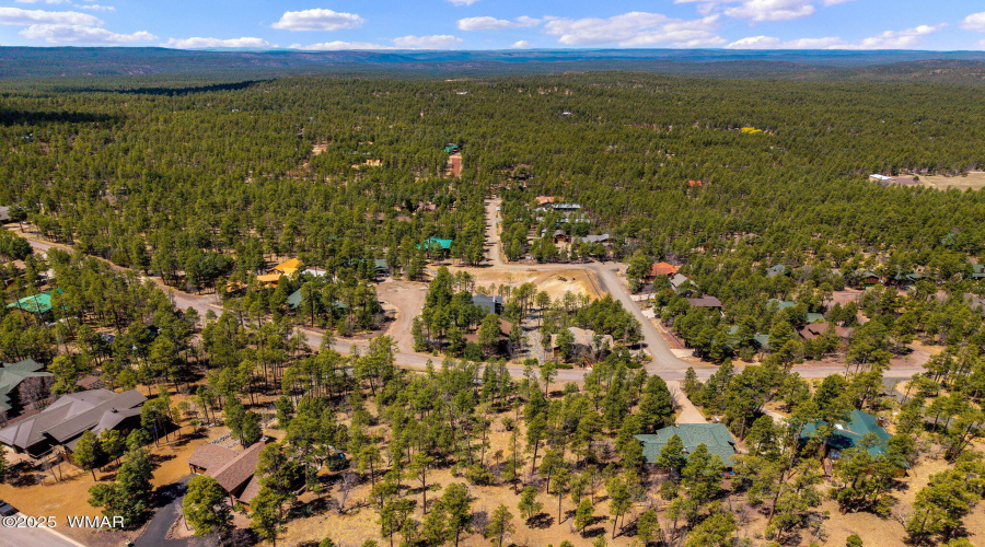 2501PineWoodLn-Pinetop-AZ-5