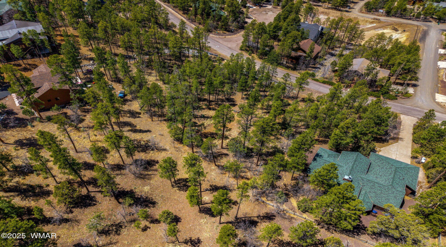 2501PineWoodLn-Pinetop-AZ-7