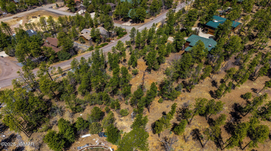 2501PineWoodLn-Pinetop-AZ-8