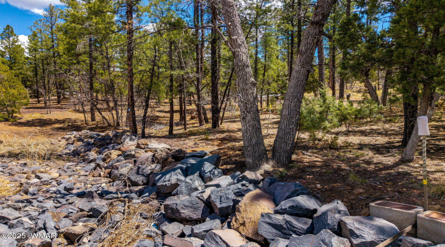 2501PineWoodLn-Pinetop-AZ-13