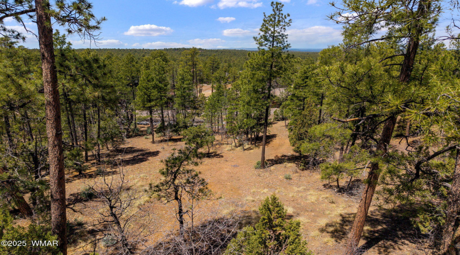 2501PineWoodLn-Pinetop-AZ-14