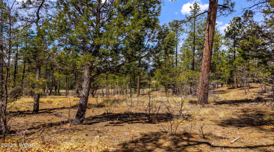 2501PineWoodLn-Pinetop-AZ-15