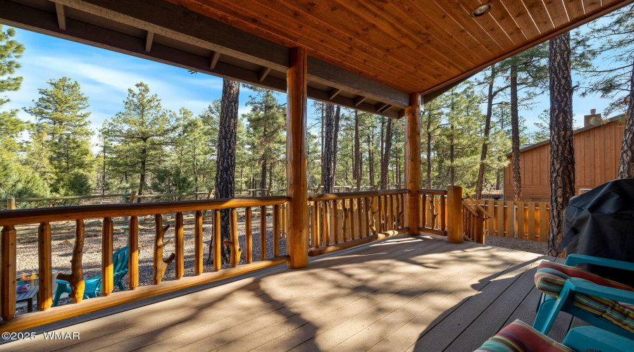 5494NElkSprings-Lakeside-AZ-30