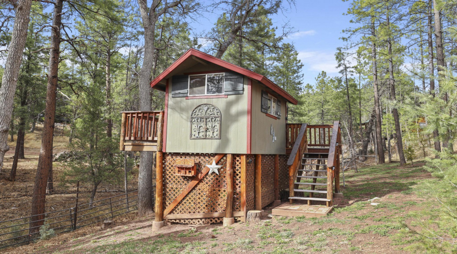 Tree House