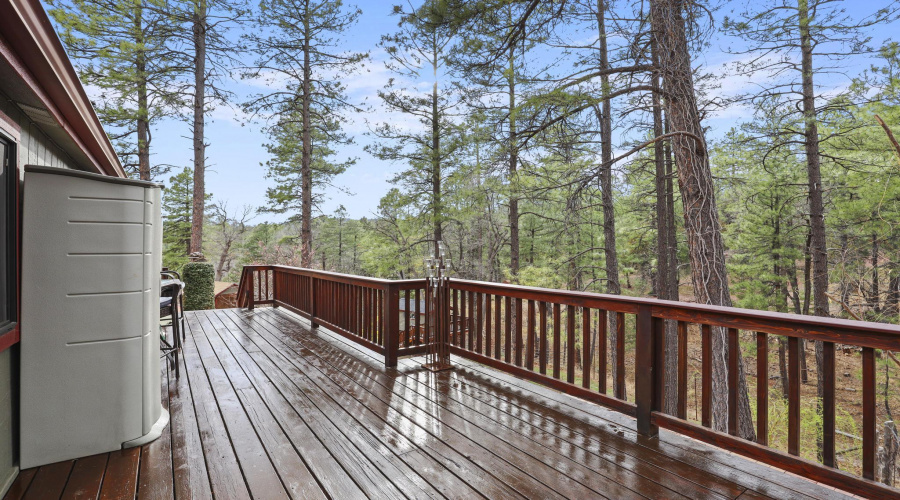 Main Home Deck