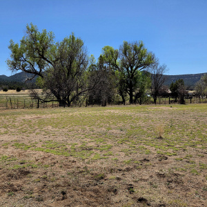 pasture