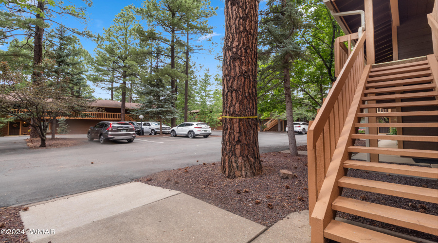 2601 Thunderbolt Circle #14A Pinetop (34