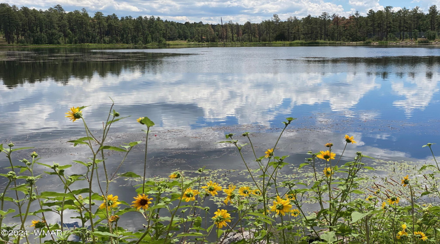 Woodland Lake