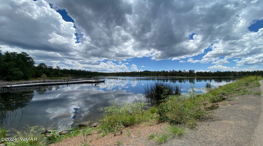 Woodland Lake