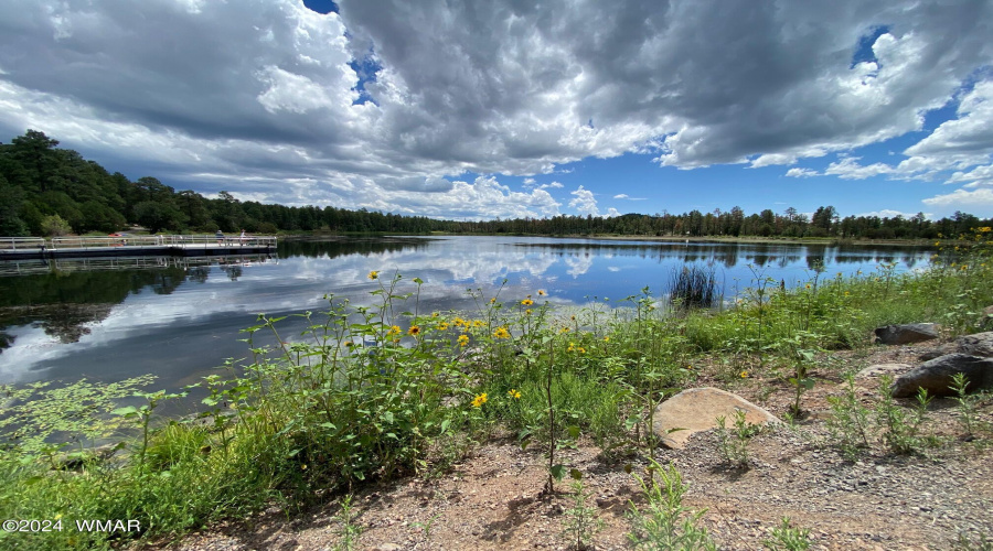 Woodland Lake