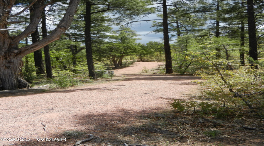 DSCN0825