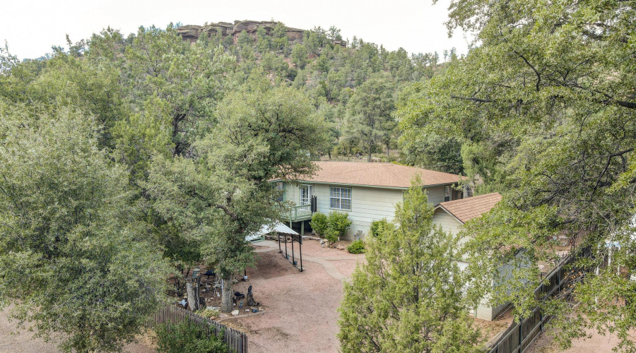 Double Lot Backs National Forest