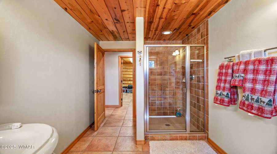 Downstairs bath