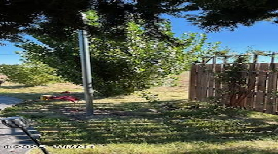 IMG_3462(1)