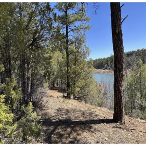 48 Acre 9