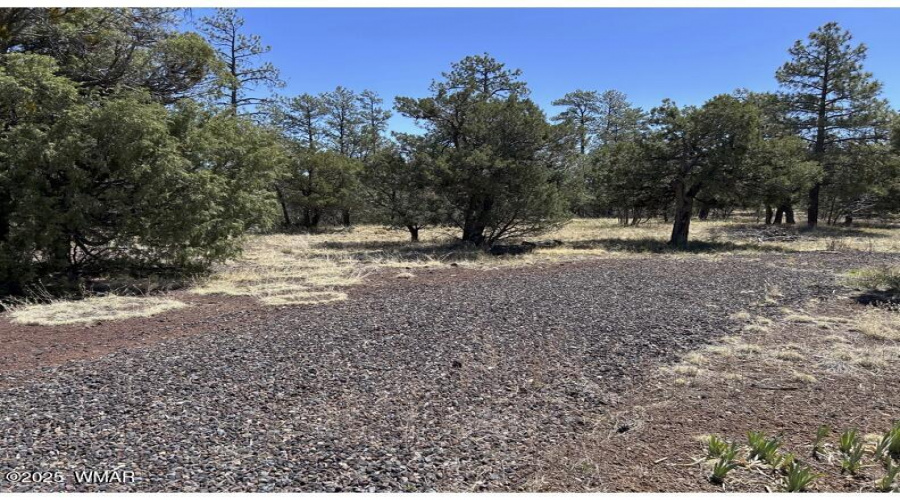 SLL 48 Acres