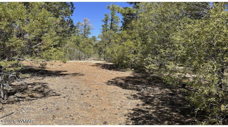 48 Acre 8