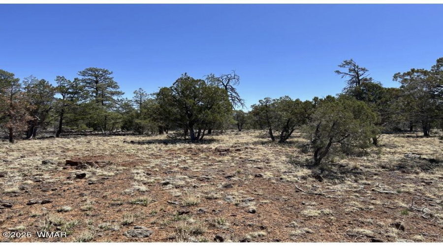48 Acre 5