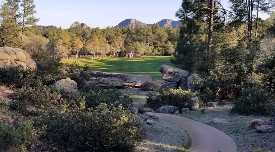 Chaparral Pines