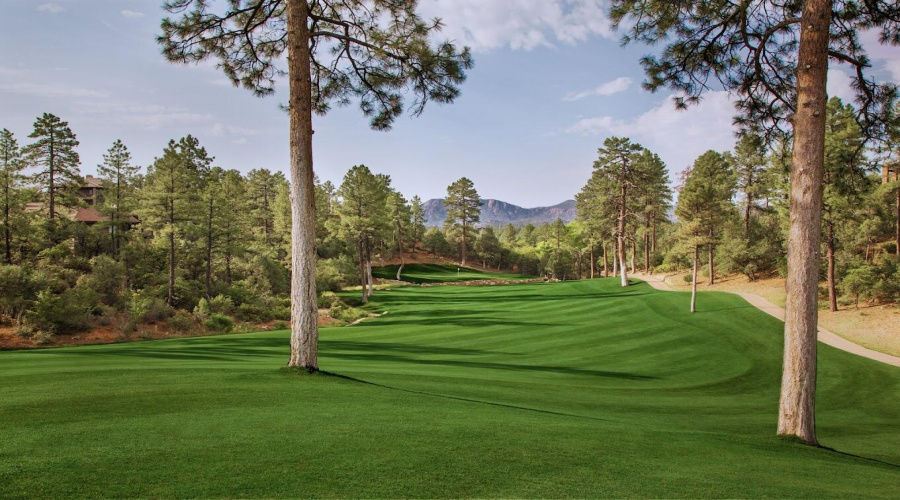 Chaparral Pines