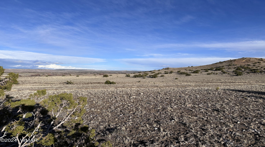 -002D Images towards southern portion