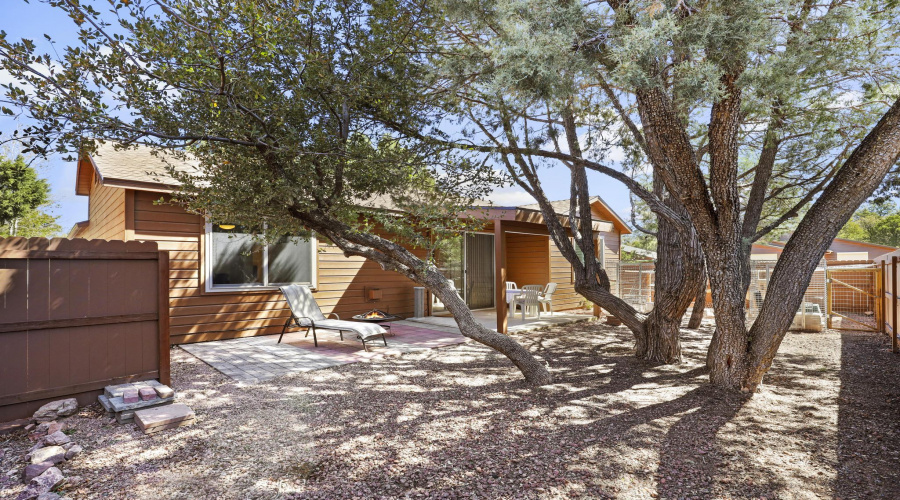 Trees for shade and privacy
